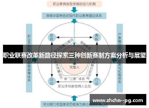 职业联赛改革新路径探索三种创新赛制方案分析与展望